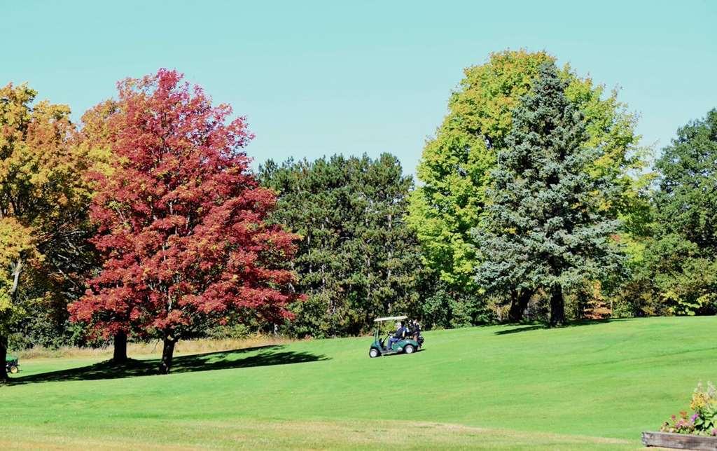 Evergreen Resort 2*